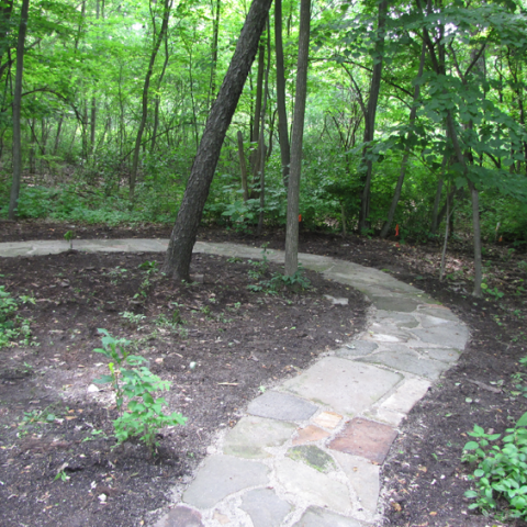 Forest Curved Flagstone Walkway