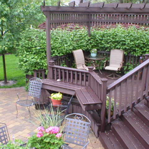 Trex Woodland Brown Stained Cedar Deck and Arbor